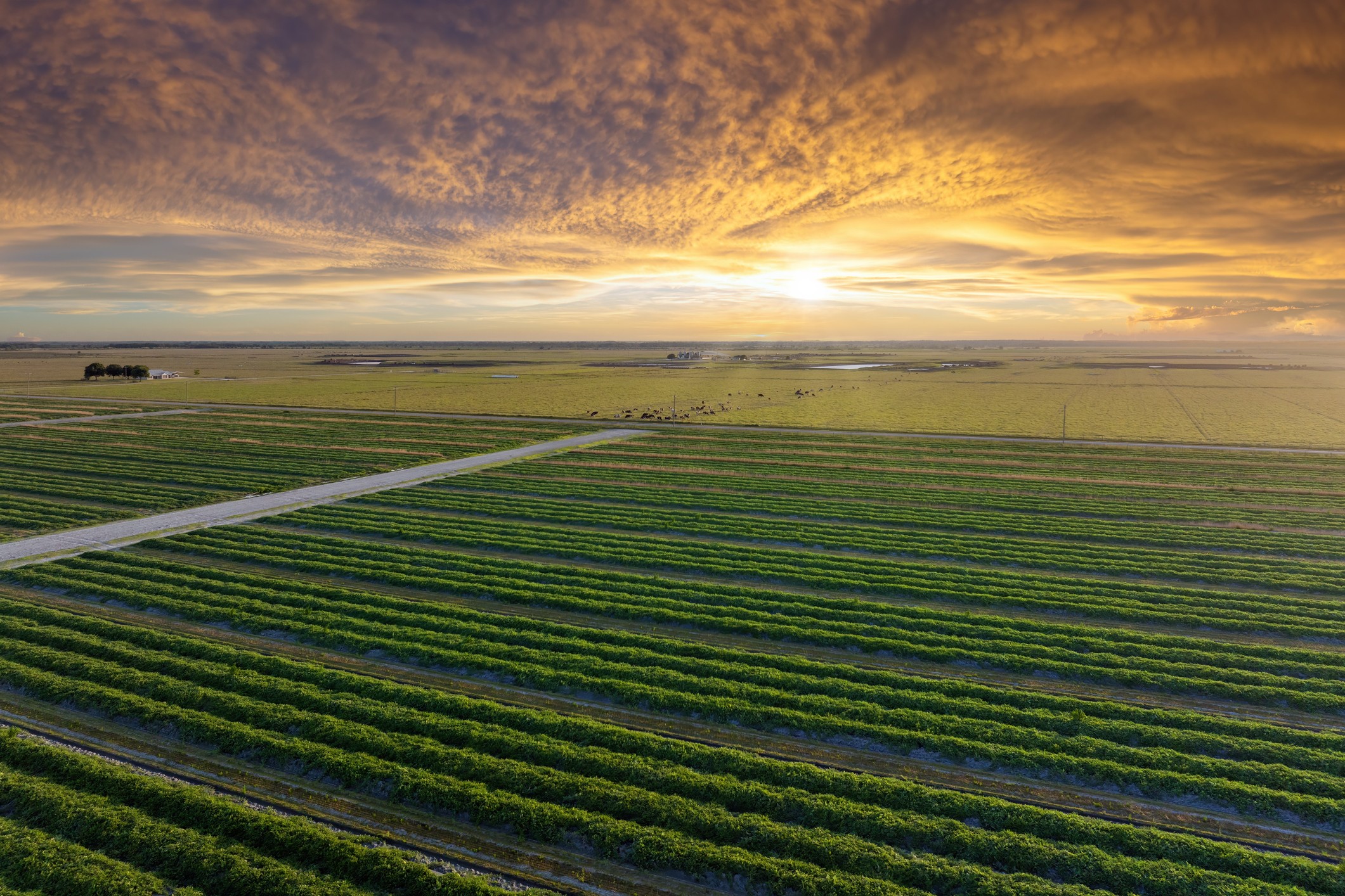 Unlocking Growth: What to Consider Before Refinancing Your Farm